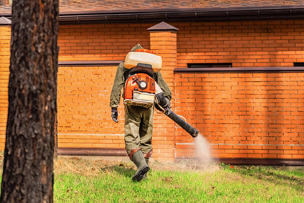 Trusted Ant Control service in Panora, IA - Nex Pest Control